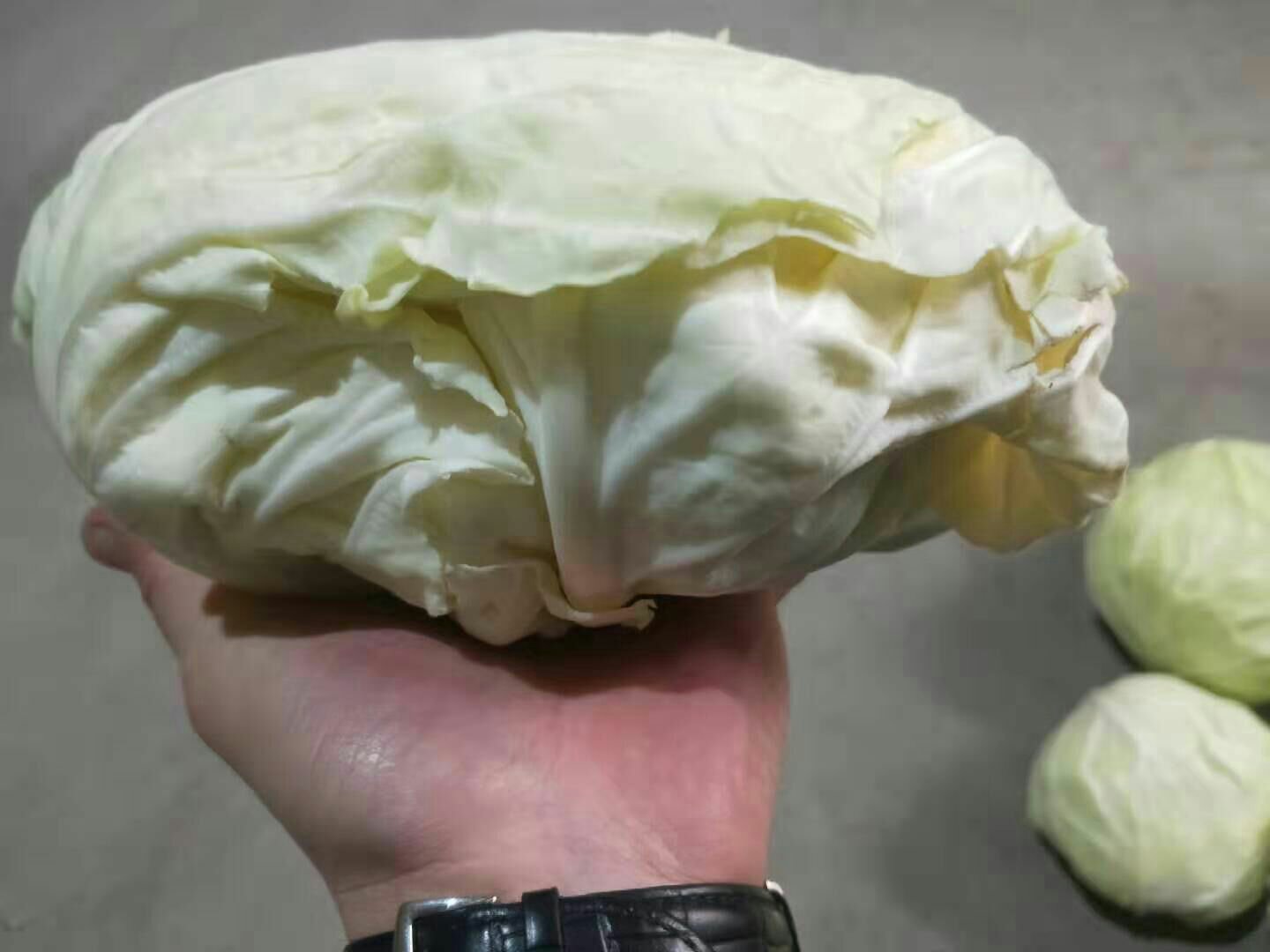 甘蓝饺子三种吃法拼图：左上为金黄酥底煎饺（热气升腾）、右上为红油酸辣饺子汤（浮着紫菜虾皮）、下方为切半饺子搭配芝麻菜沙拉（撒白芝麻与柠檬皮屑）