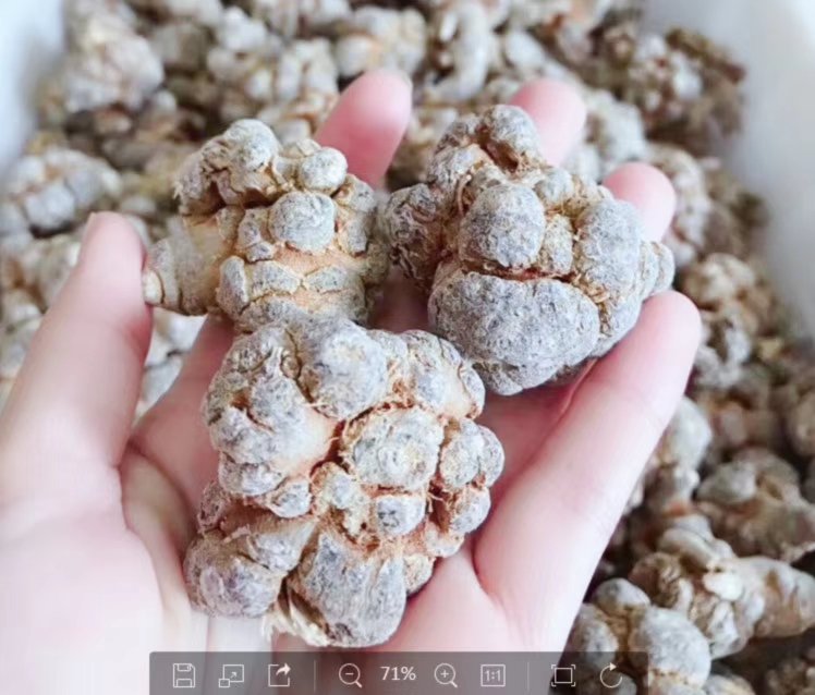 西芹与华法林相互作用示意图