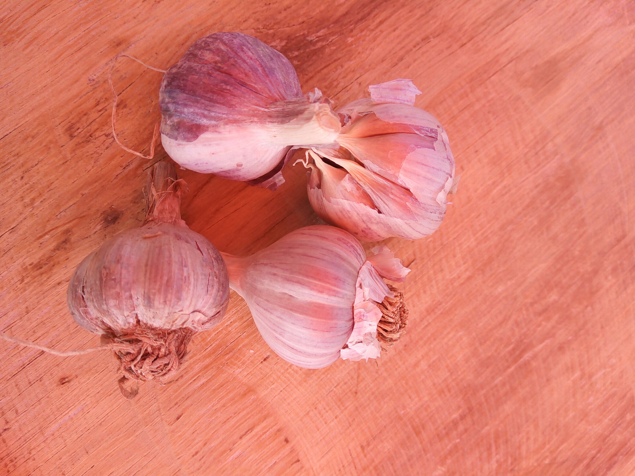 蒜苗与猪血原材料展示