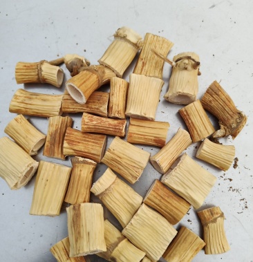 [芦根批发]芦根价格11.00元/公斤 - 一亩田