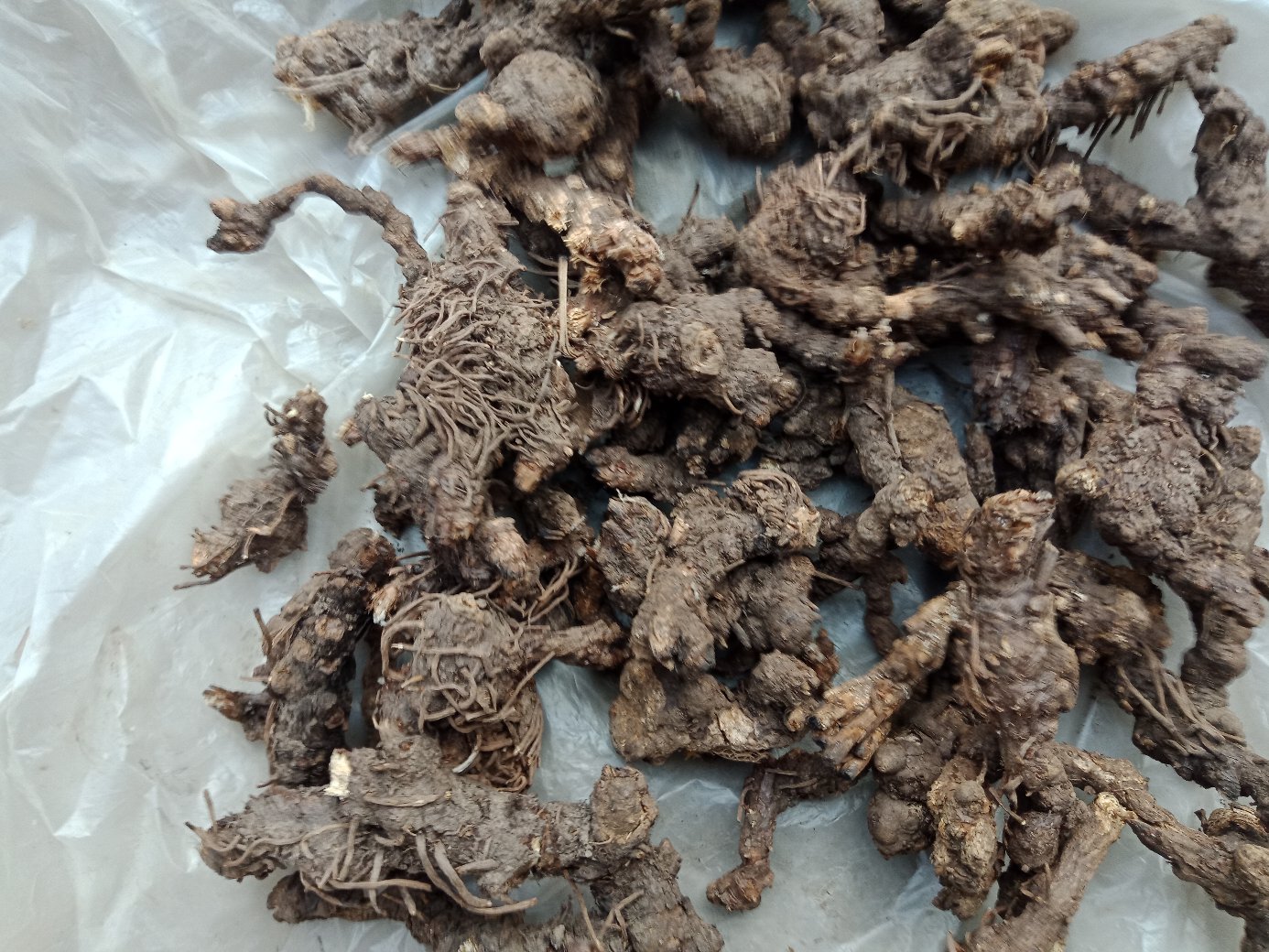 白胡椒粉撒入热水中,产生轻微蒸汽,象征其温热祛湿特性 白胡椒粉末与热水混合