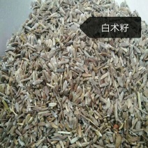 白术白术，白术
