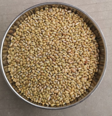 [竹豆批发]竹豆 小竹豆 青绿豆 郑州发货价格3.60元/斤 - 一亩田