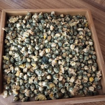 菊花茶