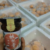 枇杷膏一瓶包邮