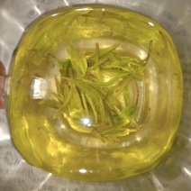 古丈毛尖黄金茶仙枣茶
