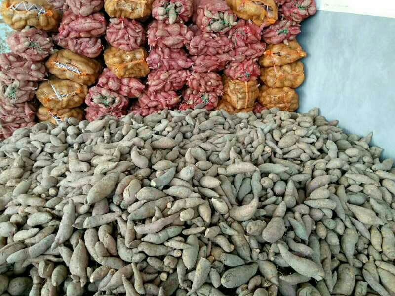 黑美人马铃薯深加工产品展示图