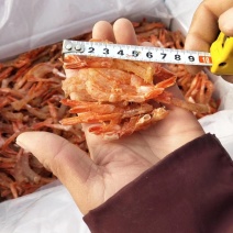 野生海虾烤虾干