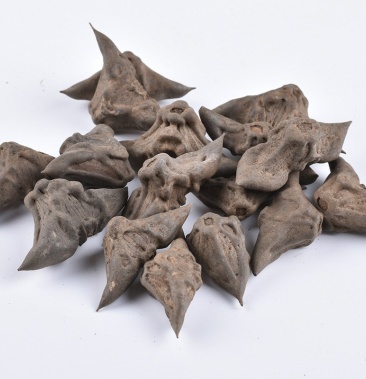 鬼见愁菱角干货两角无硫净货批发零售冷背中药材