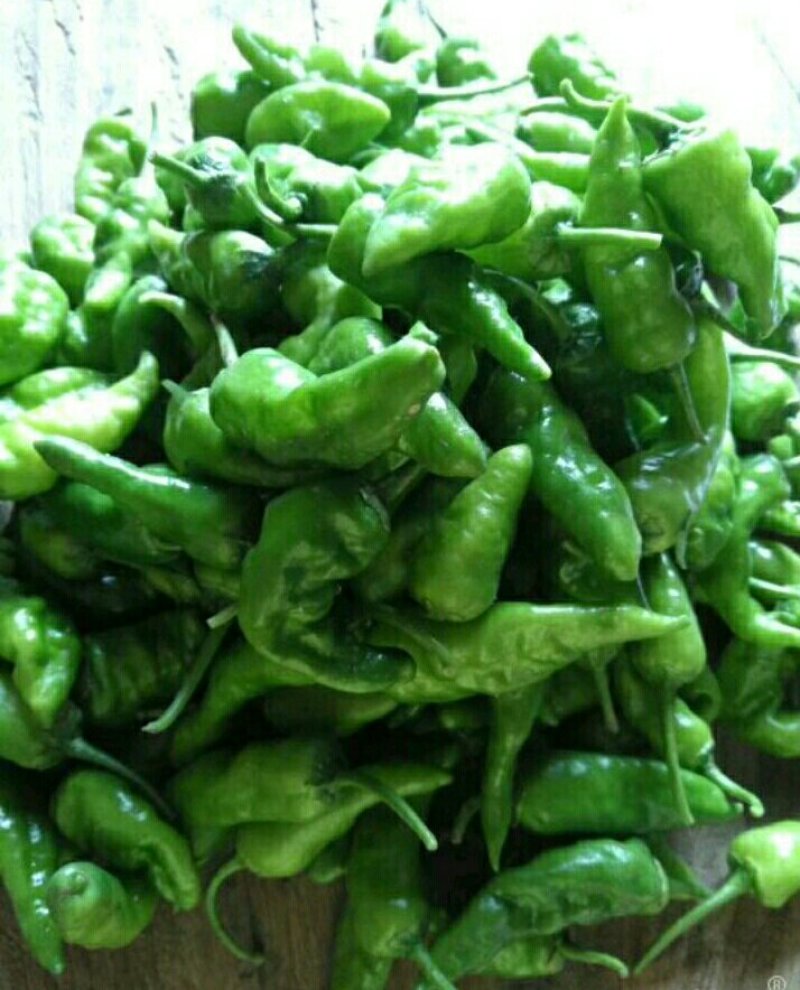 [鲜辣椒批发]余干特产丰收辣椒5~10公分薄皮辣椒无公害无残留价格98.