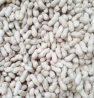 [海花花生批发]海花手捡双粒果价格3.80元/斤 - 一亩田