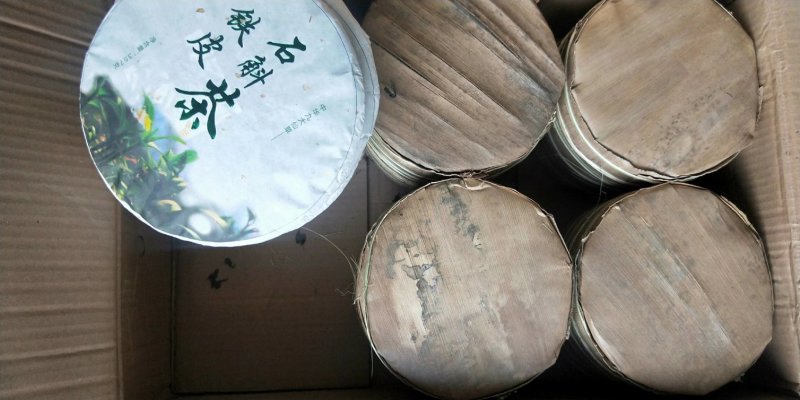 铁皮石斛种苗哪里买的到