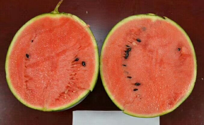 无籽红提果肉与籽粒对比图,展示果实内部可能存在的软籽结构 无籽红提果肉与籽粒对比图