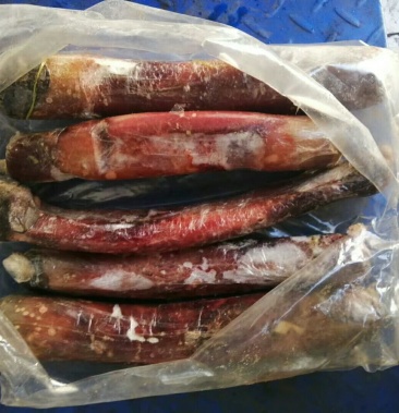 马鞭新鲜干净质量好颜色好