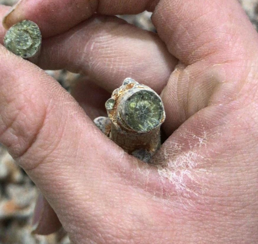 三七粉与女性护肤