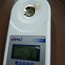 高石脆瓜