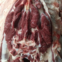 批发鲜驴肉