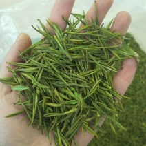 安吉白茶