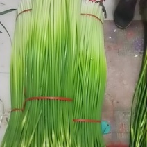 蒜苔