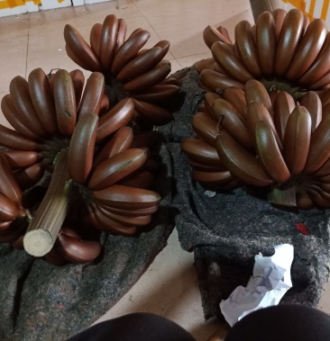 广西南宁天然玫瑰红香蕉