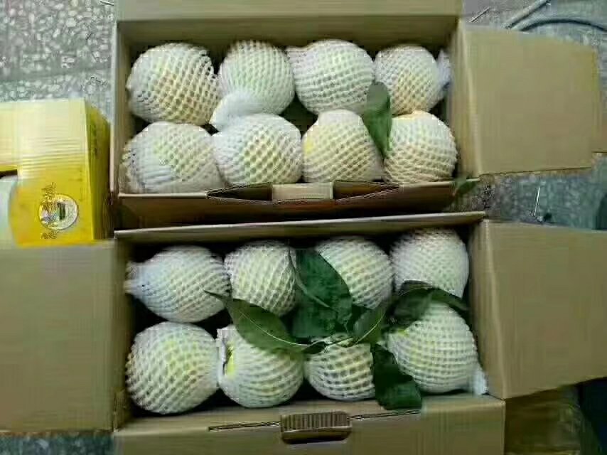 炎陵黄桃包装与电商销售场景