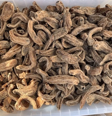 长白山野生天麻特级天麻吉林本地优质天麻500g包邮