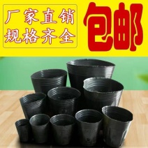 营养钵营养袋营养杯包邮（新疆海南等地除外）
