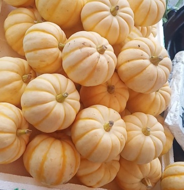 [小南瓜批发]精品迷你小南瓜太阳瓜贝贝瓜价格5.00元/斤 - 一亩田