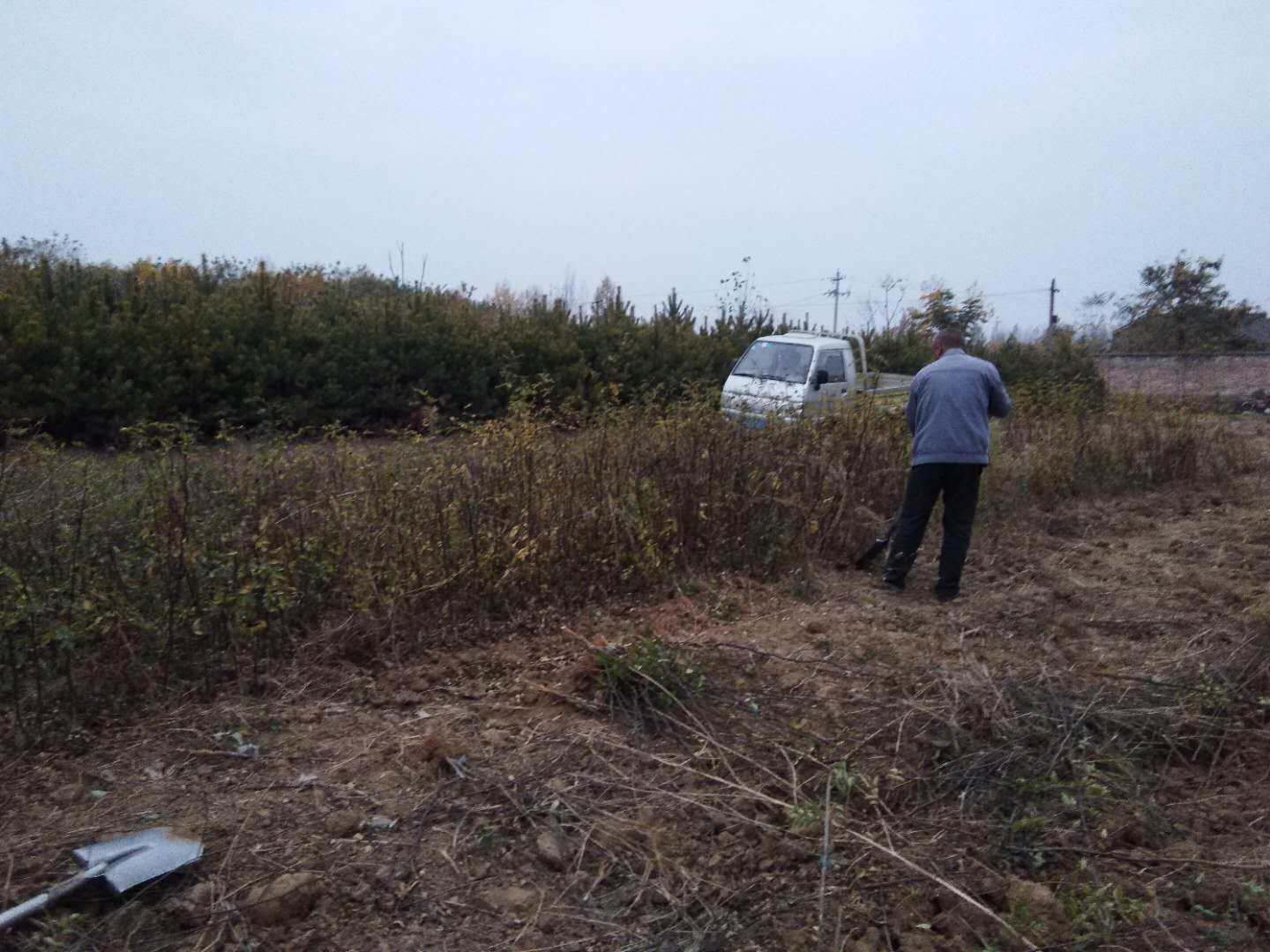 花椒加工车间
