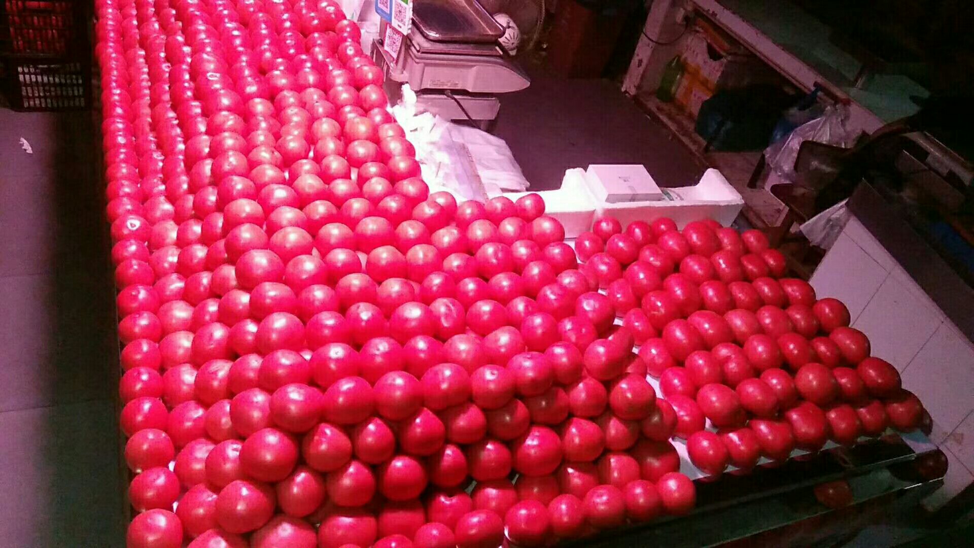 普罗旺斯西红柿不同大小对比图