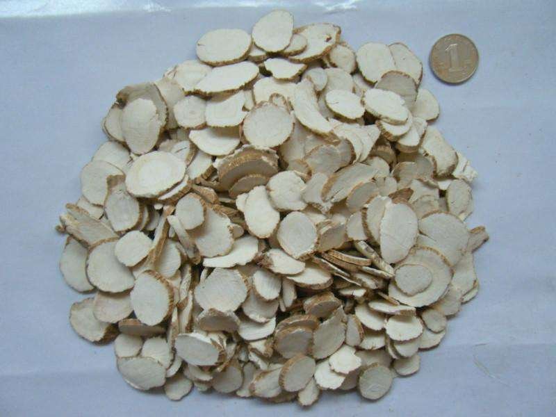 白芷药材切片展示