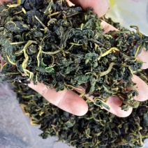农家野生桑叶茶