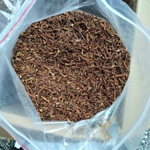 蒲公英根茶