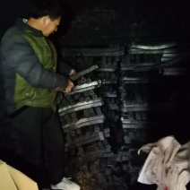 环保竹炭