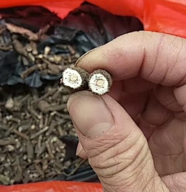 [血党批发]血党价格25.00元/斤 - 一亩田