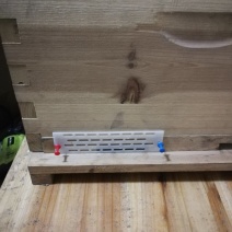 蜜蜂中蜂防跑王片中蜂防逃片蜂箱蜂王防跑片防盗蜂隔王片塑料