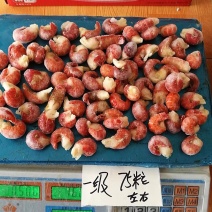 小号龙虾尾特级质量保证快递物流都可发货。