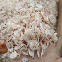 虾皮