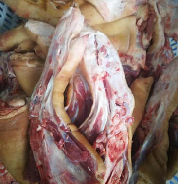 鲜猪前手原只大猪手