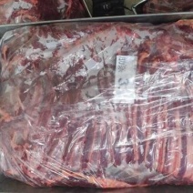 大量出售马肉精修四分体现货