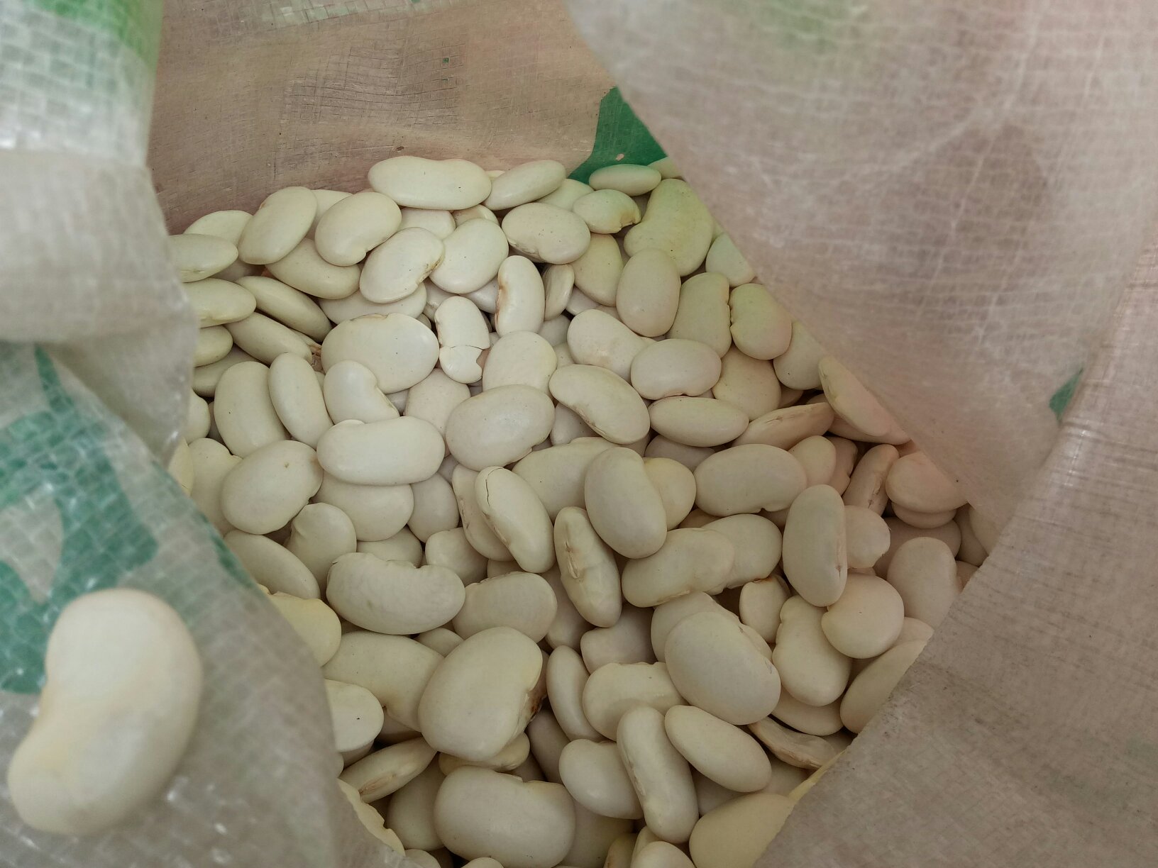 市场中的扁豆摊位实景