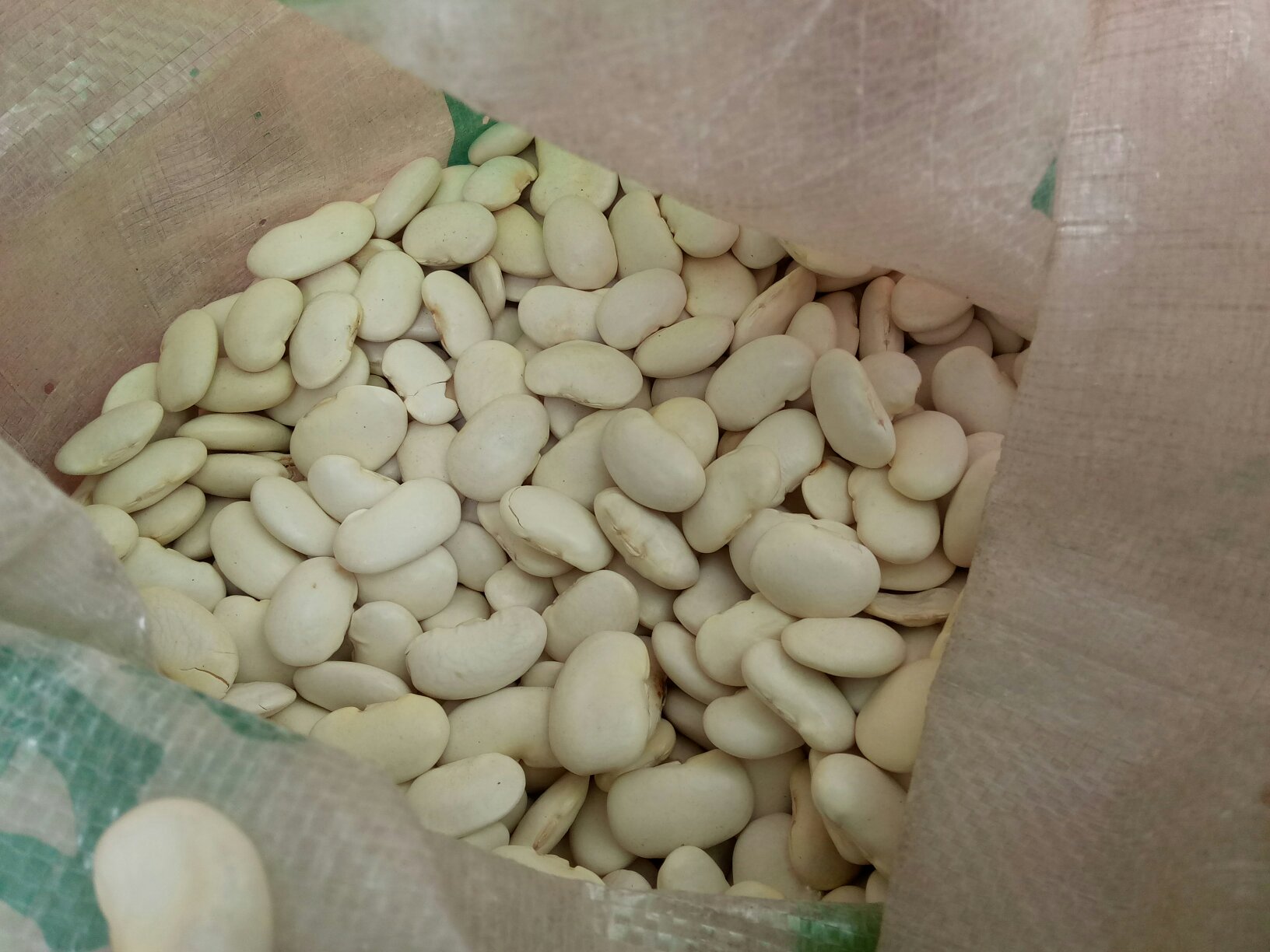 白不老扁豆加工产品展示