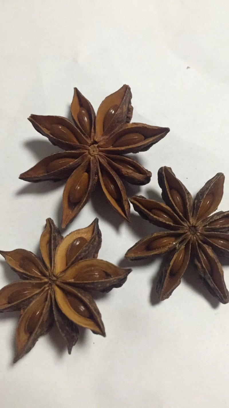 藤县古龙八角(水烫果)