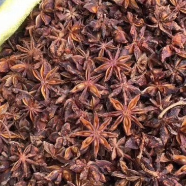 藤县古龙八角(水烫果)