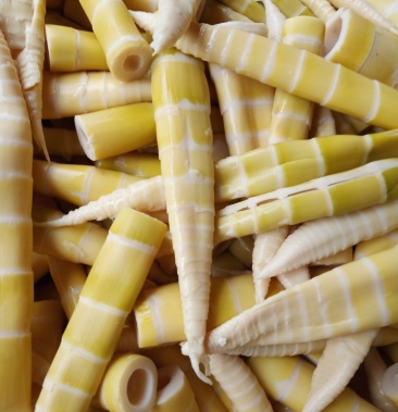 斑竹笋新鲜竹笋毛竹笋现挖现春笋水竹笋斑竹笋盐笋笋干时令