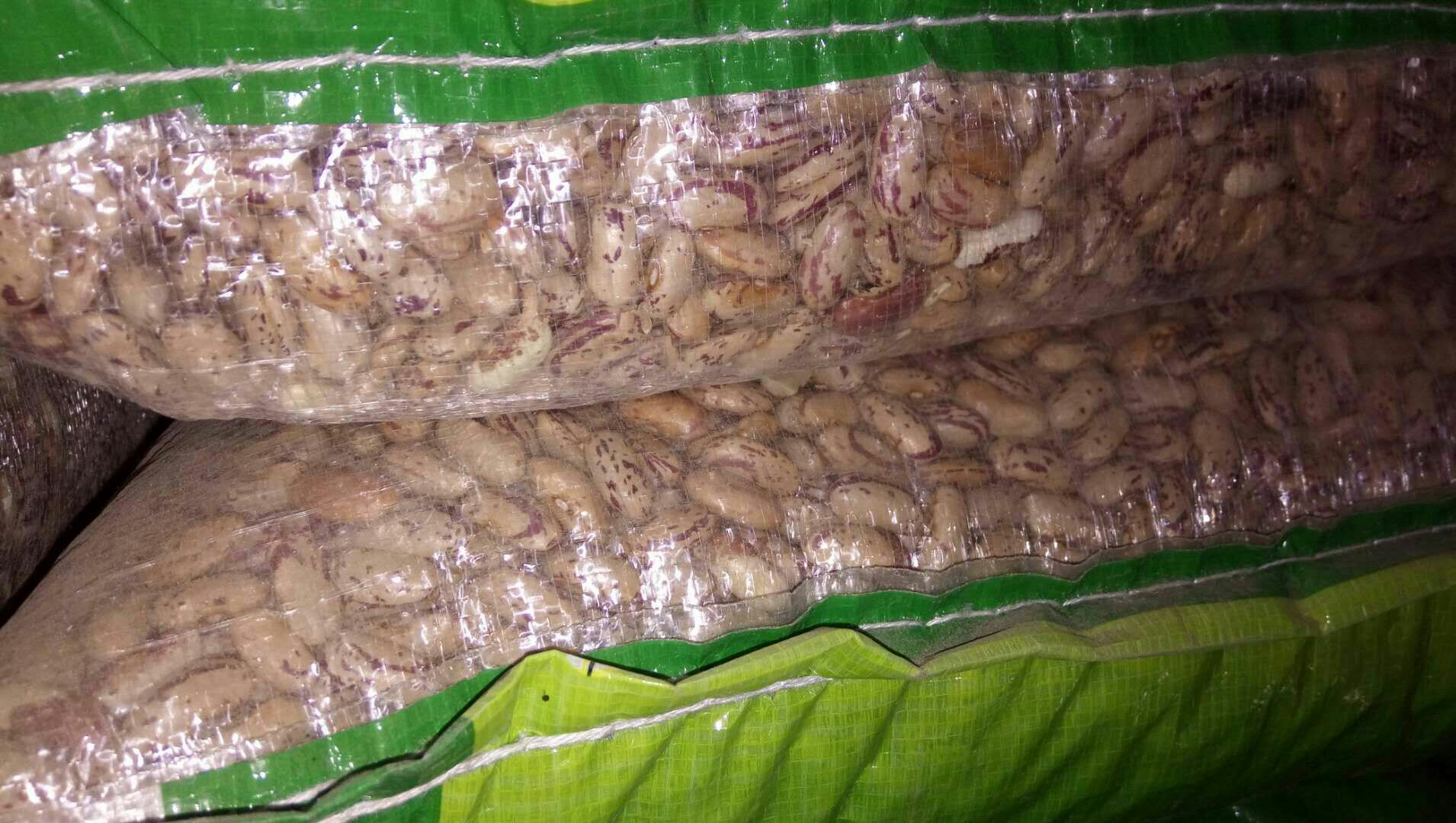小扁豆成品包装展示