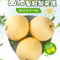 【牛商推荐】精品皇冠梨脆甜多汁产地直达电商一件代发