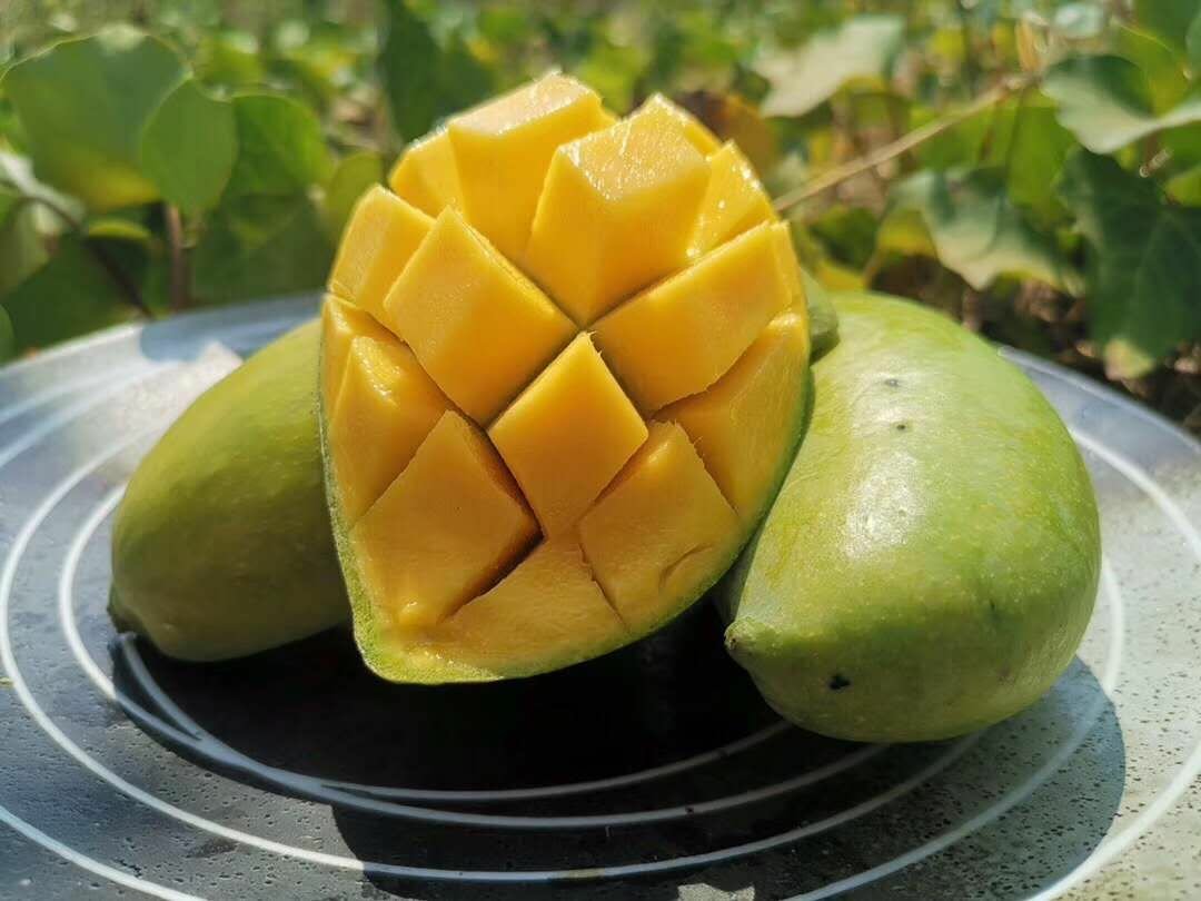 切开的鹰嘴芒果横截面展示