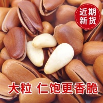 东北松子新加工新货大颗粒。