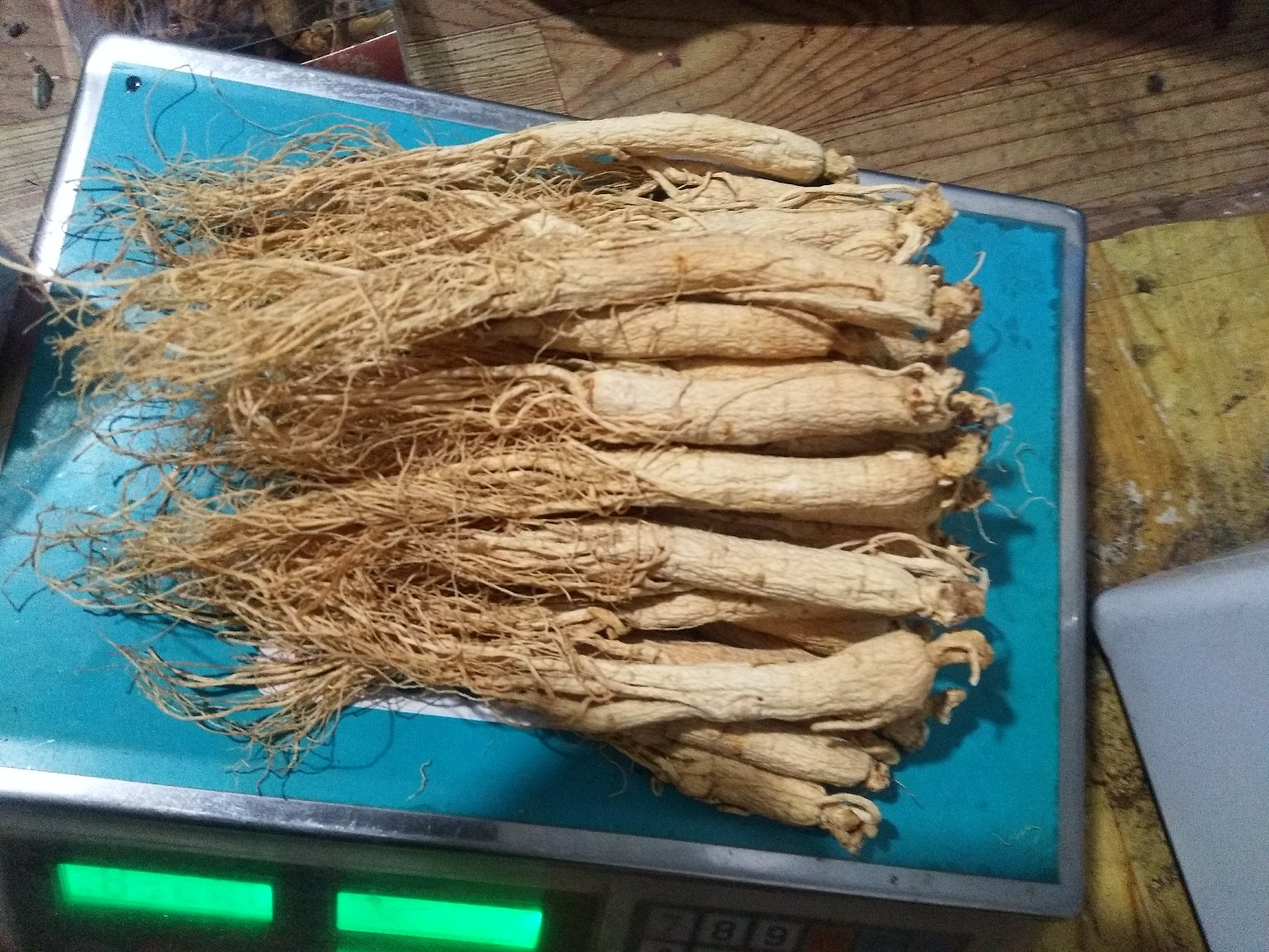 一名身穿白色实验服的科研人员正在使用高效液相色谱仪(HPLC)检测人参样品,屏幕上显示人参皂苷的色谱峰图,桌面上摆放着标有‘生晒参提取物’的试管和记录本,环境为现代化中药分析实验室 实验室科研人员检测人参皂苷含量